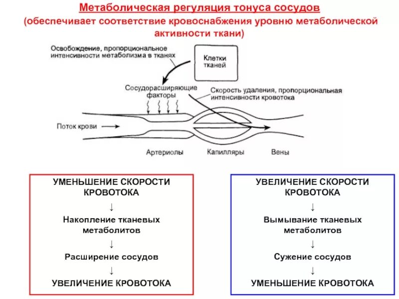 Изменение тонуса сосудов