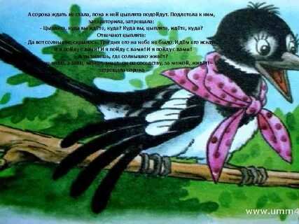 Народные сорока сорока