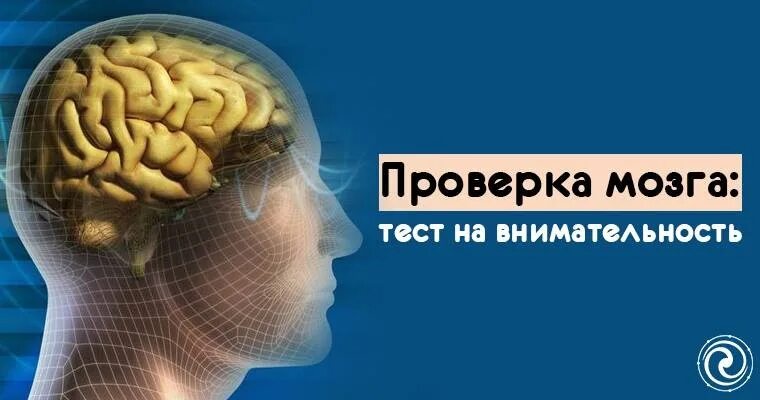 Тест для мозга и памяти. Тесты для мозга в картинках. Тест на мозг. Испытание мозга. Рисунок тестирования мозга.