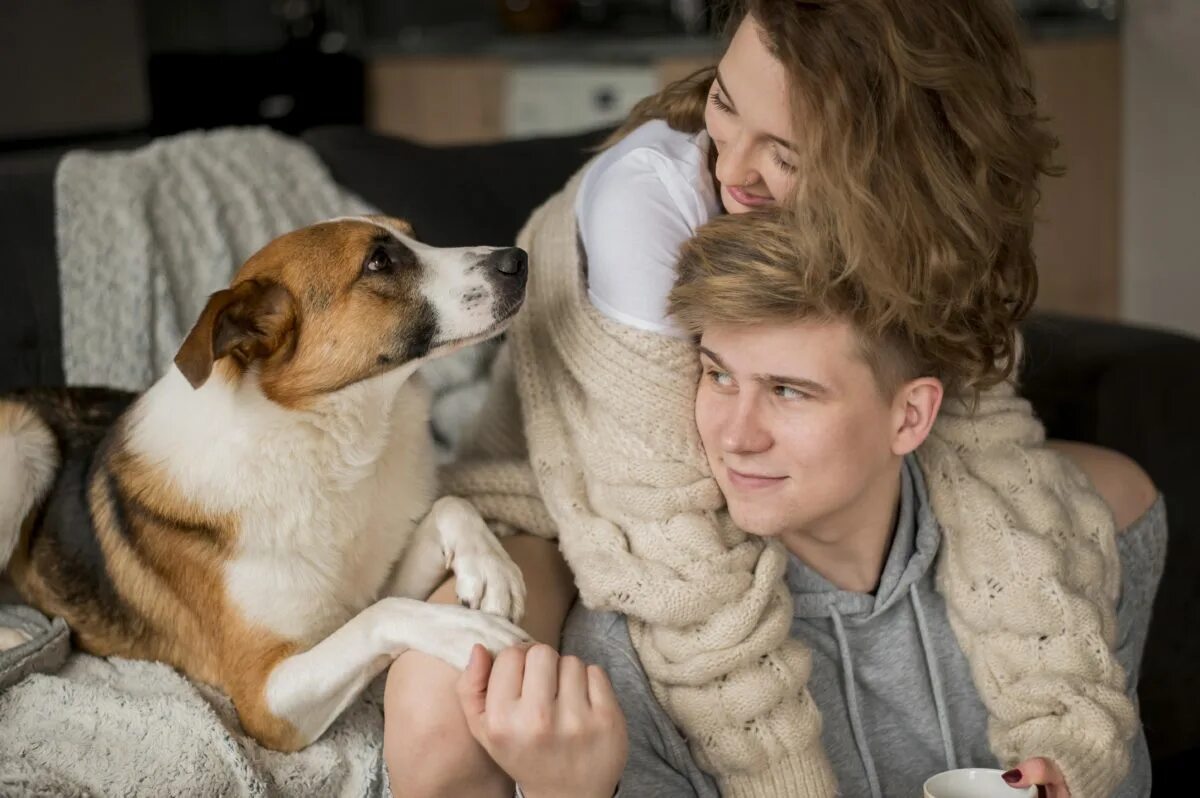 After your pet. Looking after pets.