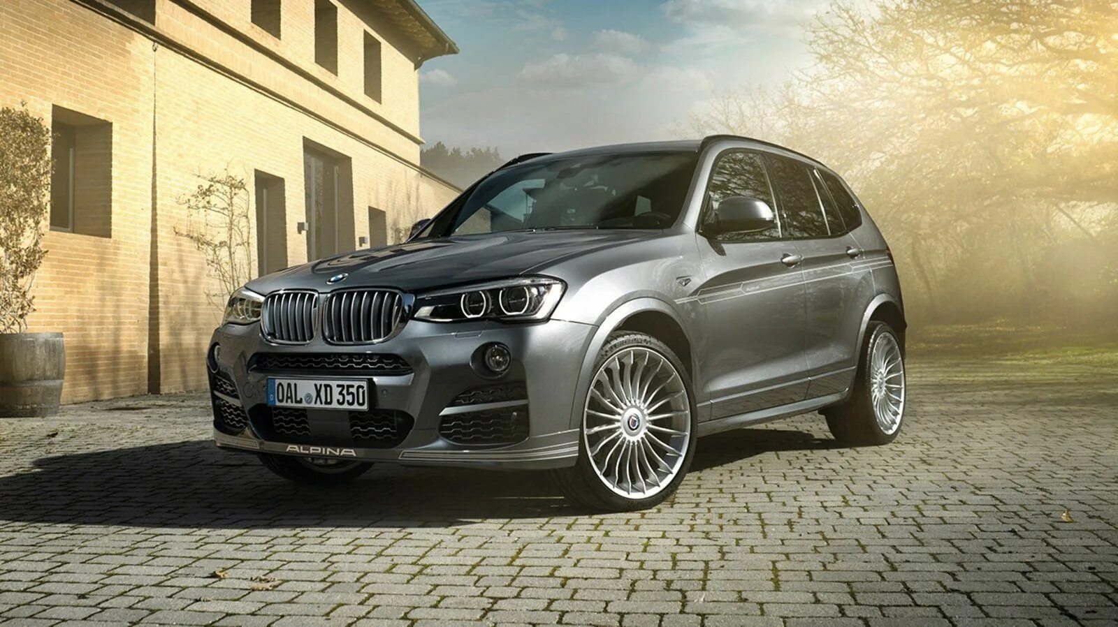 Х 5 20х х 5. BMW x3 Alpina xd3. BMW x3 f25 Alpina. BMW x5 Альпина. БМВ х3 ф25 Альпина.