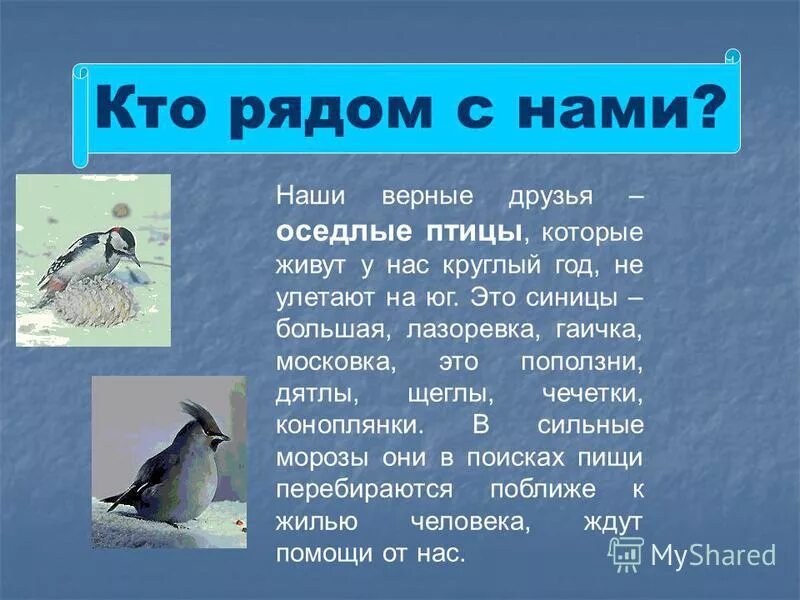 Мигрирующие и оседлые птицы