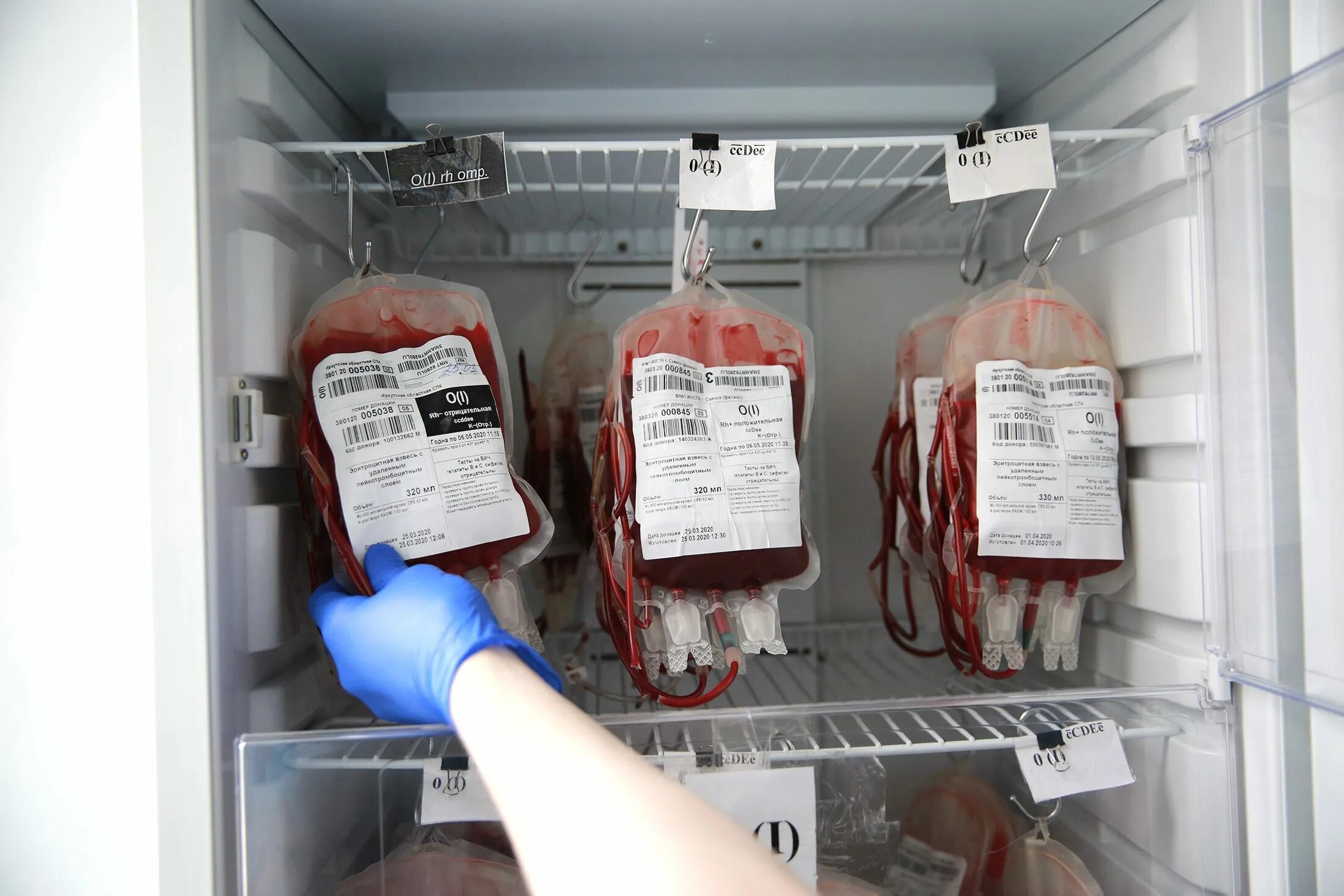 Сколько хранить кровь в холодильнике. Хранение донорской крови и ее компонентов. Холодильник для хранения крови. Контейнер для хранения крови. Транспортировка донорской крови и ее компонентов.