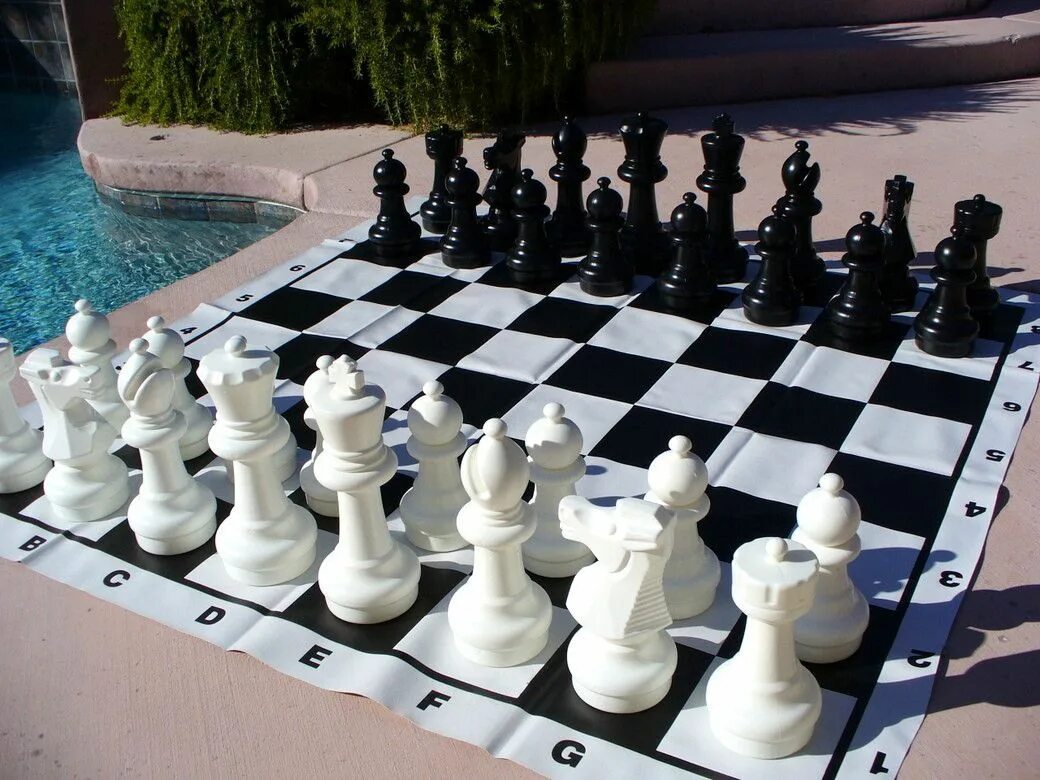 12 chess