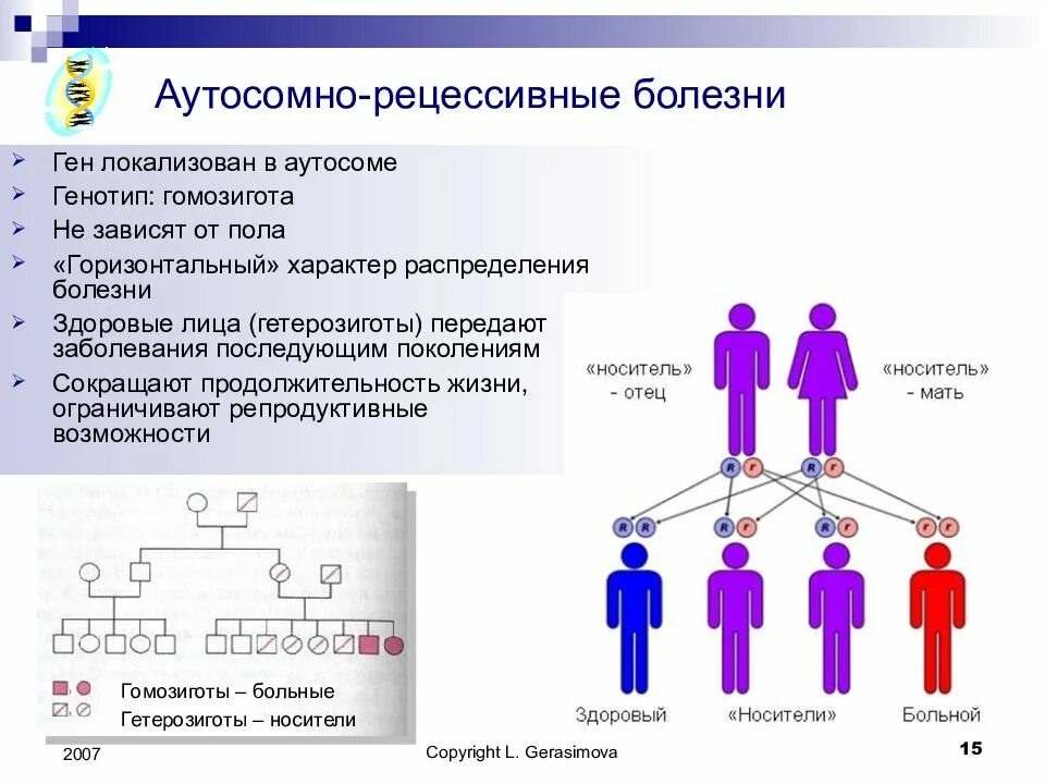 Рецессивный аутосомный ген в задаче. Фенилкетонурия тип наследования аутосомно. аутосомно-рецессивный. аутосомно-рецессивные болезни. аутосомный ген.