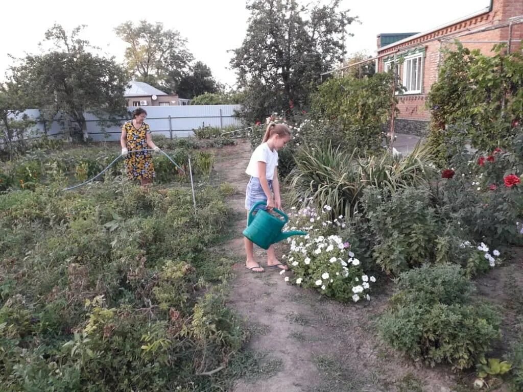 Погода село богородицкое песчанокопский район ростовская область. Богородицкое Песчанокопский район Ростовская область. Село Богородицкое Ростовской области Песчанокопский район. Село Богородицкое Песчанокопского района. С.Богородицкое Песчанокопского района Ростовской области.