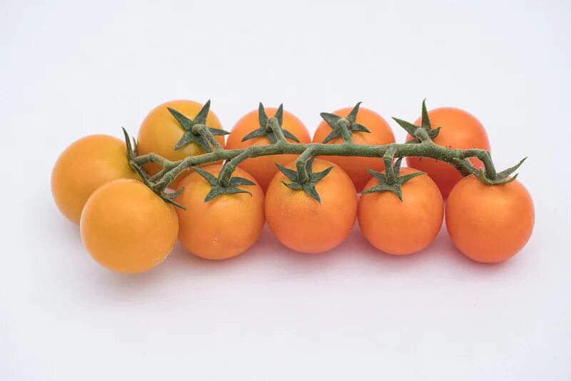 чери краски томаты. томат черри магнифика партнер.