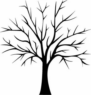 Des arbres