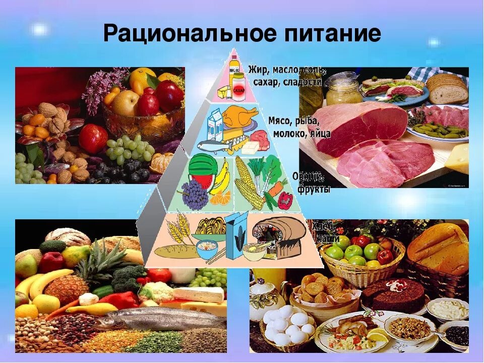 Основу питания составляют. Рациональное питание. правильное рациональное питание. здоровое питание. понятие рационального питания.