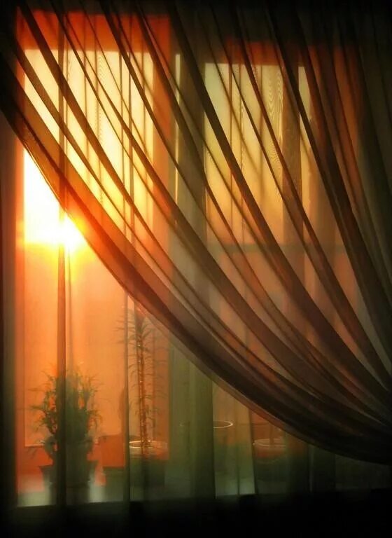 через шторы. через шторы. зонирование шторами. луч солнца в окне. римские шторы.