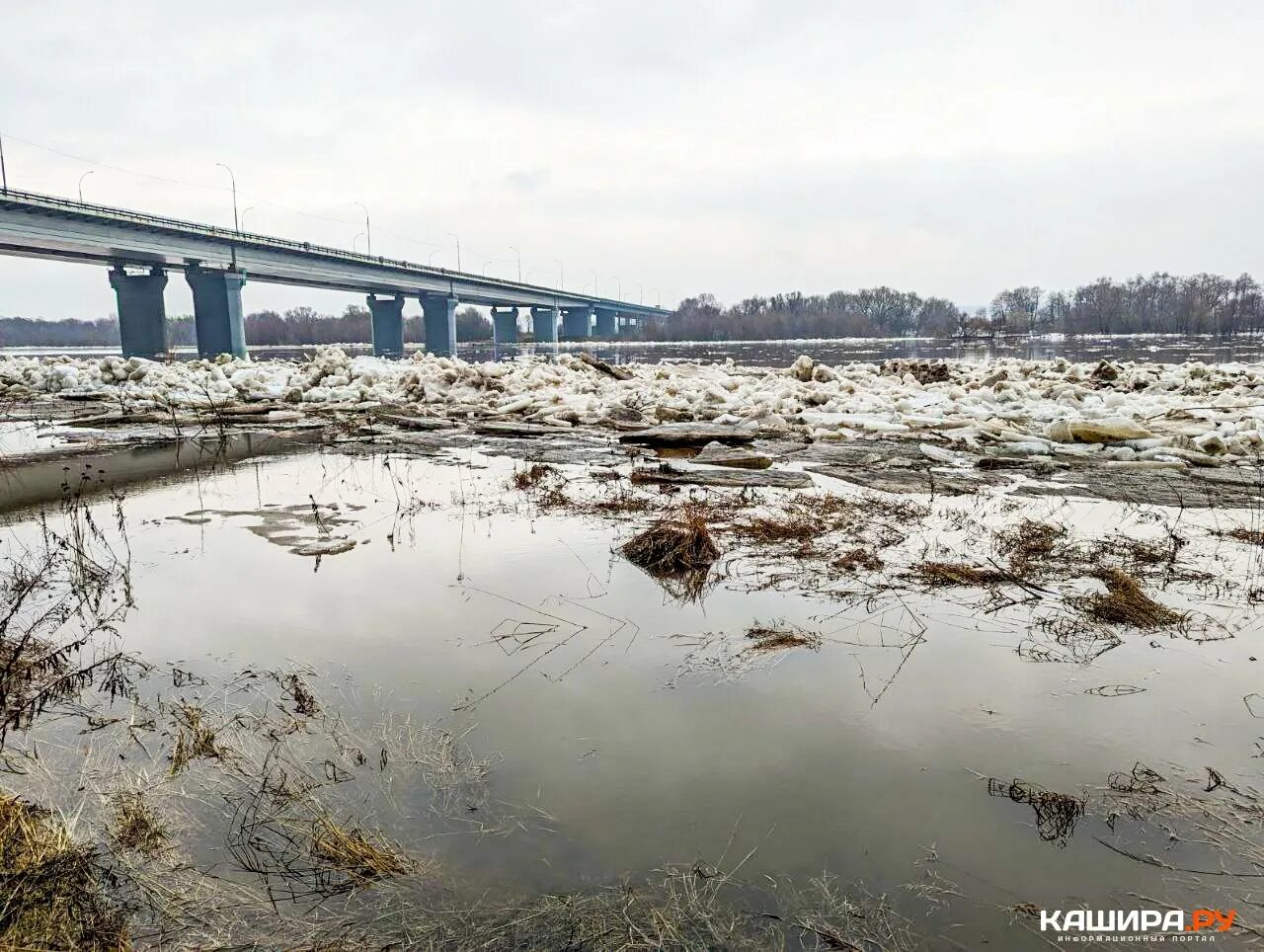 Уровень воды ока новинки. Разлив Оки. Ледоход на реке. Ледоход на Оке. Ледоход на Оке Кашира.