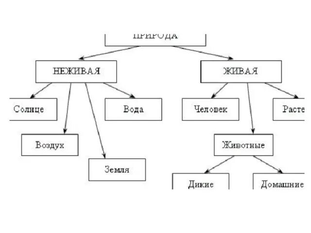 Строение живого и неживого. Схема живой и неживой природы 2 класс. Схема Живая не Дивая природа. Неживая природа схема. Живая неживая природа СХ.