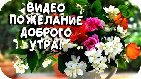 С добрым утром в тик токе видео