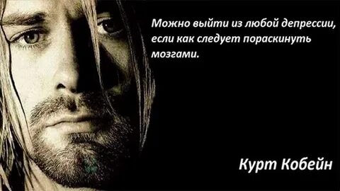 Цитаты курта
