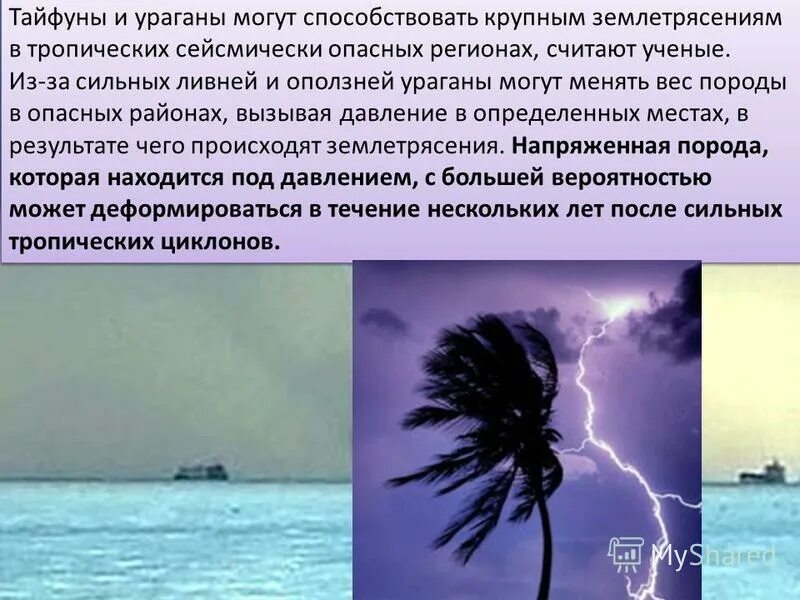 Тайфун читать полностью. Тайфун читать полностью