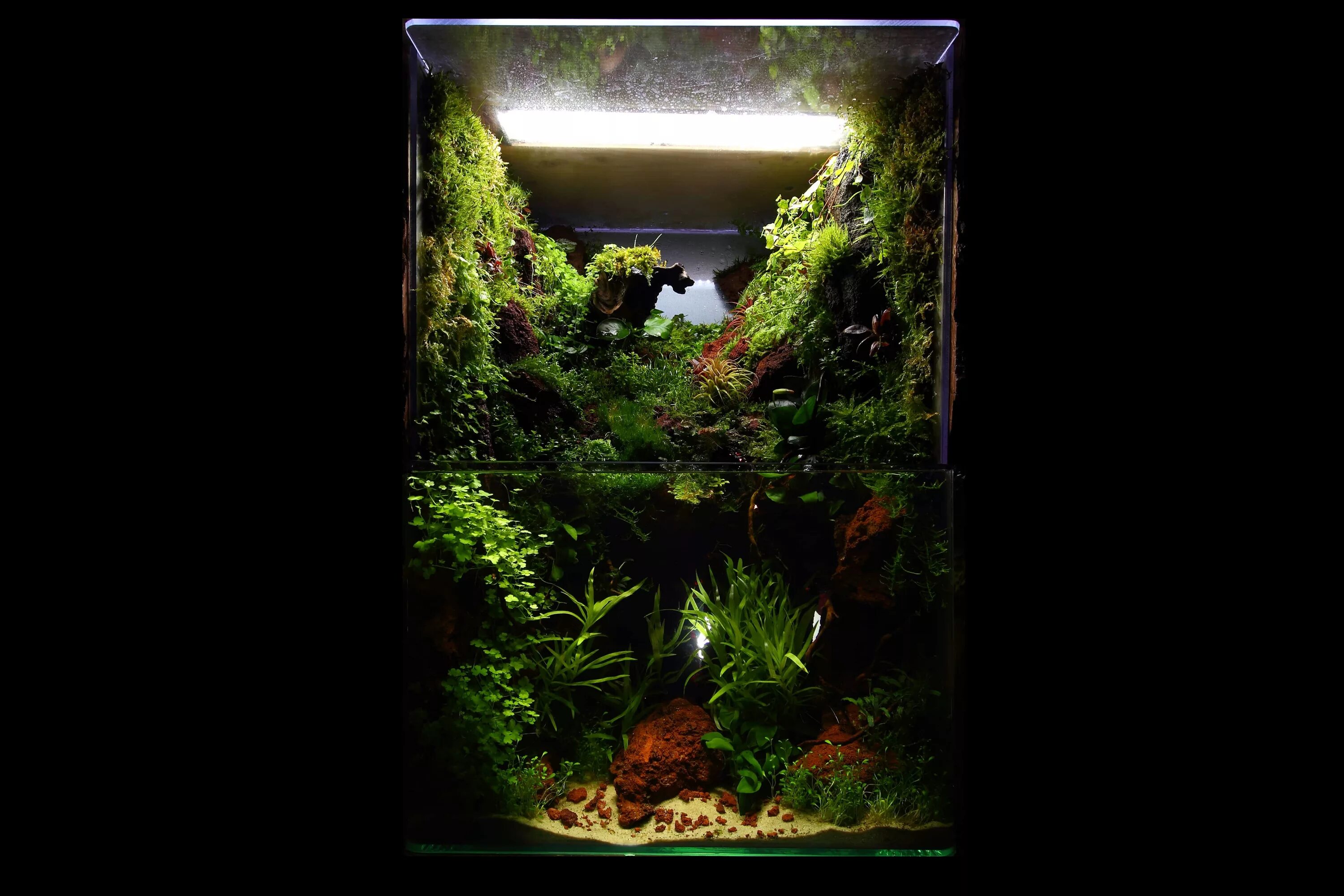 Капли аквариум. Аквариум 2. аквариум с икринками на стене. berlin aquarium.