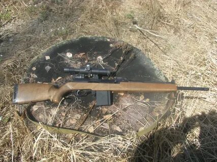308 охота
