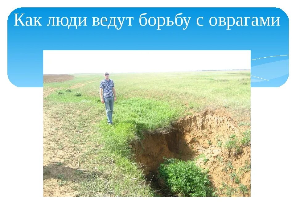 Овраг это 4 класс. Борьба с оврагами. части оврага. как люди боряться с оврагами. овраг и его части.