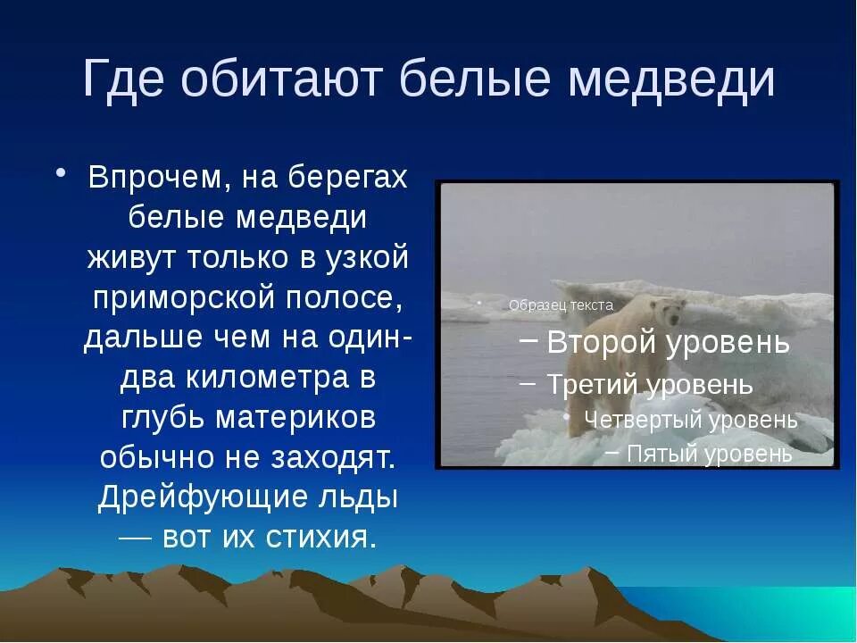 В каком полушарии встречается белый медведь. Где живут белые медведи. где обитает белый медведь. где живот белый медведь. где живо бедые медвиеди.