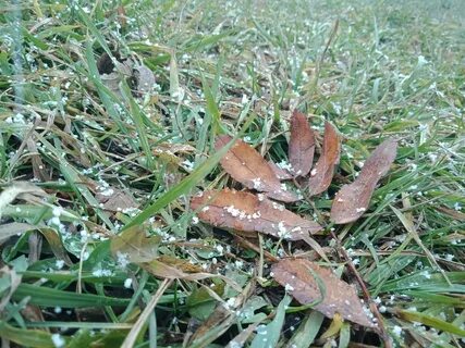Заморозки в воронеже в ближайшие дни май