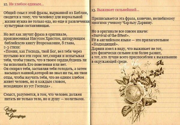 Что означает выражение из уст в уста