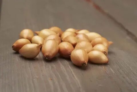 Лук севок озерский описание сорта отзывы