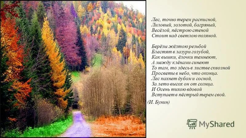 Веселой пестрою стеной. Бунин ...лес....лиловый золотой. Стих Бунина лиловый золотой багряный. Бунин лес словно Терем расписной. Стихотворение Бунина лес точно Терем расписной.