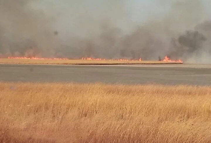 Пожар в хасанском районе. Пожары в хасанском районе. пожар в хасанском районе сейчас. косуля сгорела в пожаре. горит приморье 2013 год.