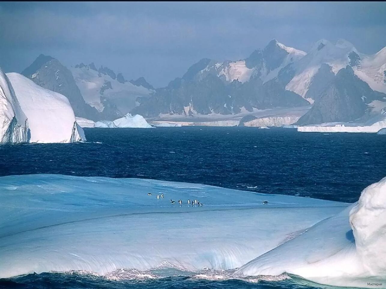 2 антарктическая. Антарктика и Антарктида. Ледяной Покров Антарктиды. Антарктида пейзаж. Путешествие в Арктику.