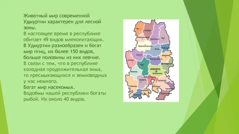 В какой зоне расположен пермский край. Природная зона Удмуртии 4 класс. Особенности природы края Удмуртии. Разнообразие природы Удмуртской Республики.