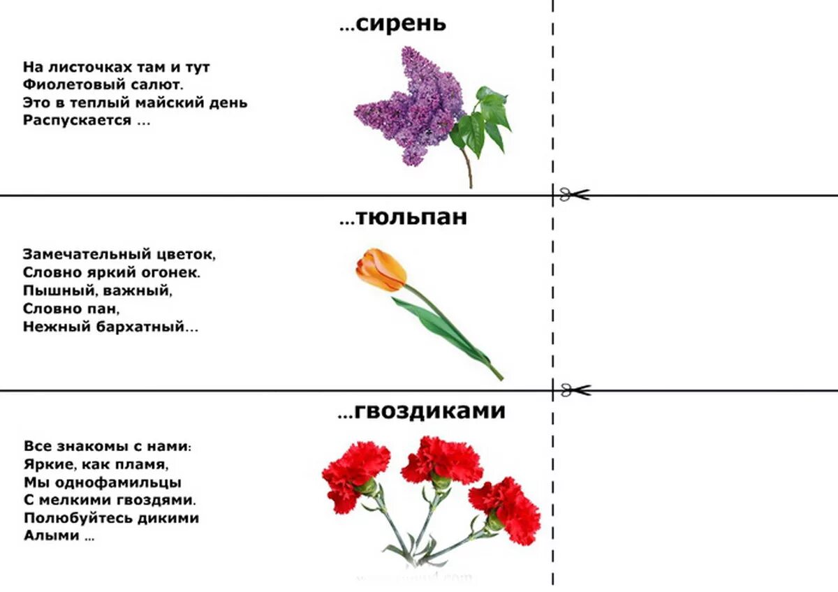 Загадки про цветы для дошкольников. Загадки про цветы для детей. Загадки про цветы с ответами. Загадки о цветах для детей. Загадки про цветы для детей с ответами.