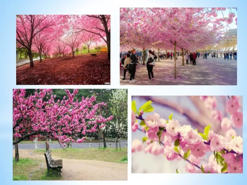 Памятник архитектуры рисунок. Бионика в архитектуре. Древние соборы изо 4 класс. Храмы древней руси. Архитектура 4 класс изо презентация.