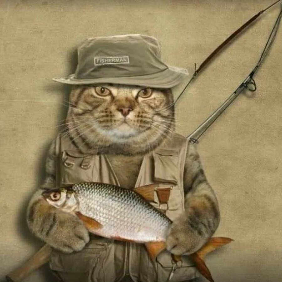 Хорошей рыбалки приколы. День рыбака. Кот Рыбак. Открытка рыбаку. Открытки про рыбаков.
