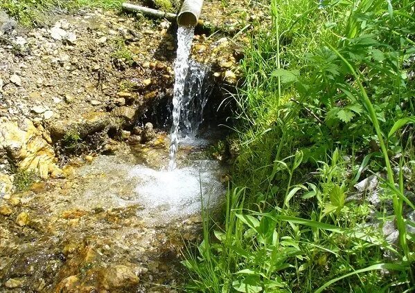 Вода холодный ключ. Холодный ключ (Родник, Аннинский район). Студёный Родник Удмуртии. Родник ключ источник. Ключевая вода ручья.