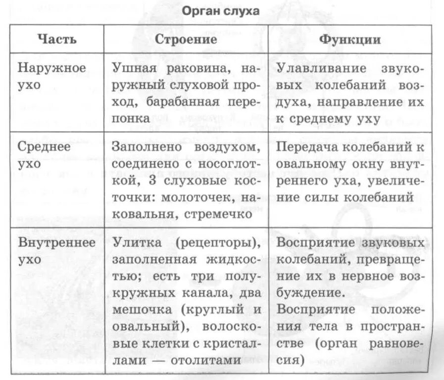 Таблица орган слуха 8 класс биология. Таблица строение и функции отделов органа слуха. Строение и функции органа слуха таблица 8 класс биология. Строение слухового анализатора 8 класс биология таблица. Таблица по биологии анализаторы