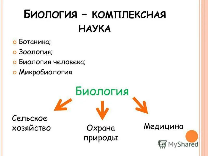 Классификация биологических наук таблица. Современные дисциплины биологии. Основные принципы современной биологии. Биология комплексная наука. Примеры комплексных наук.