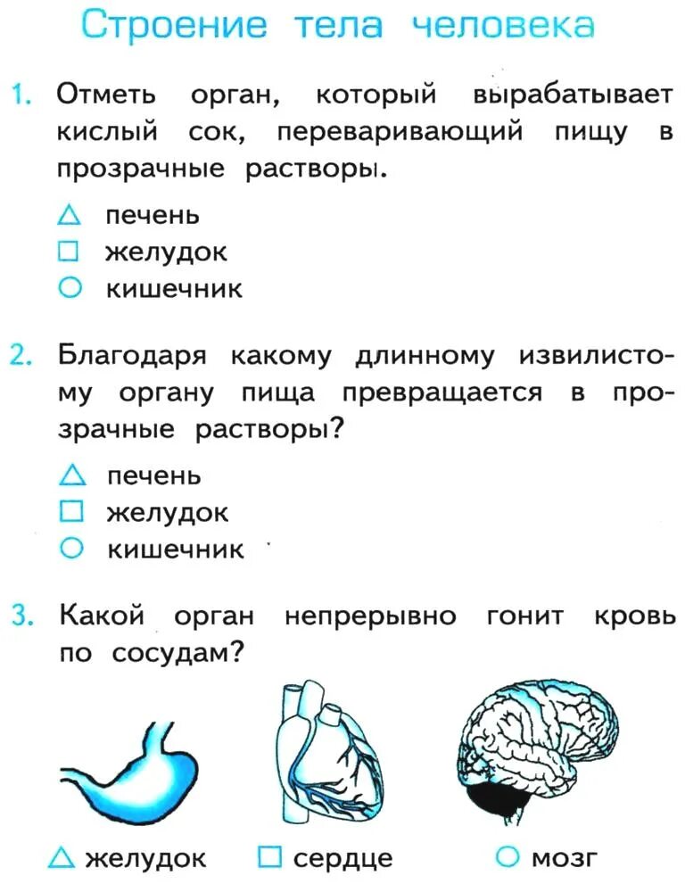 Контрольная работа окружающий мир строение человека. Контрольная работа окружающий мир строение человека. Тест окружающий мир 3 класс плешаков школа россии. Контрольная работа окружающий мир строение человека. Тест строение тела человека 2 класс плешаков.