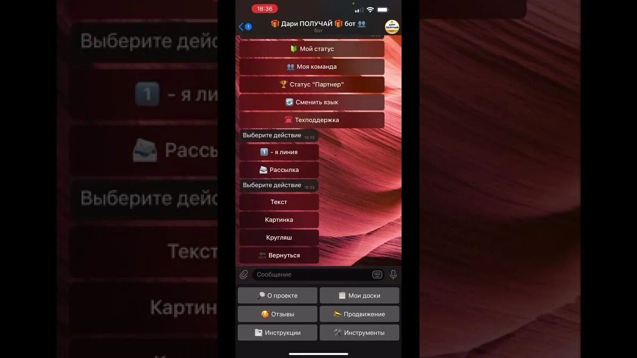 Где взять боты
