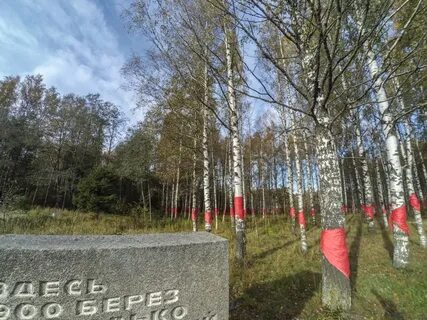 Дорога жизни 20 всеволожск