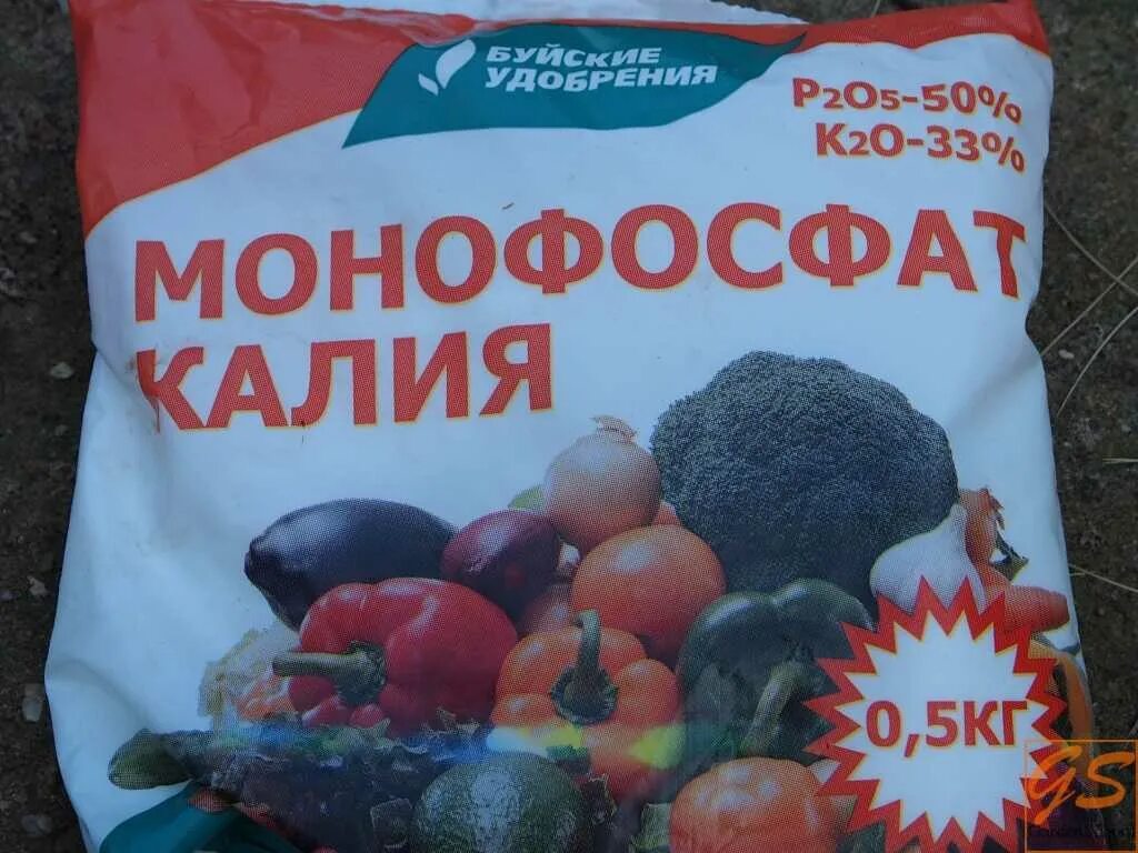 Монофосфат калия удобрение для томатов. Монофосфат калия удобрение. монофосфат калия p2o5 -50%, k2o-33%. калийный монофосфат удобрение. монофосфат калия 20гр.