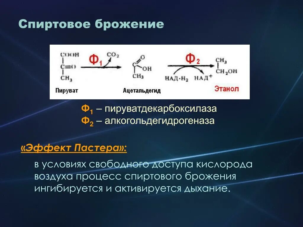 Способен к спиртовому брожению. Процесс спиртового брожения формула. Суммарная реакция процесса спиртового брожения. Спиртовое брожение переносчик электронов. Спиртовое брожение химизм реакции.