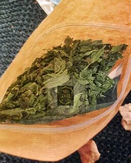 Майская крапива