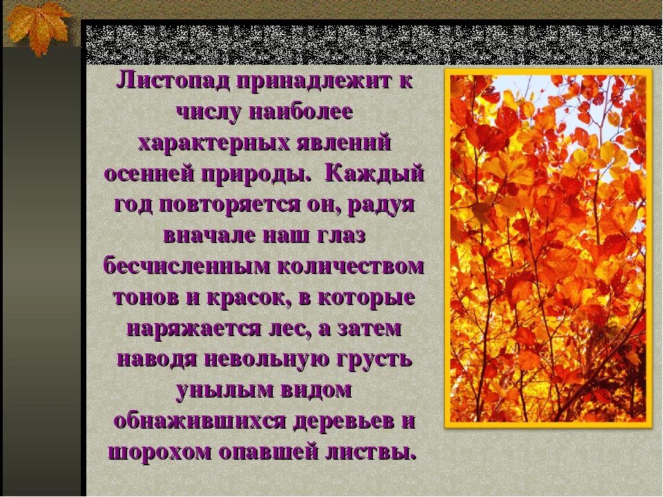 Листопад урок 6 класс. Презентация на тему листопад. Доклад про осень. Презентация на тему осень. Осенние явления природы.