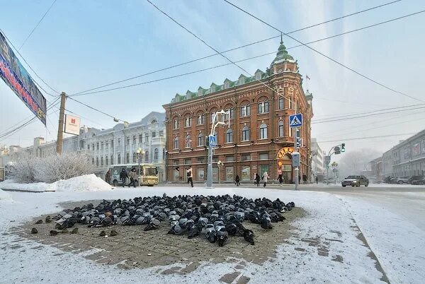 Томск видео. Томск зима. Томск зимой. Город Томск зимой. Томск зимой фото.