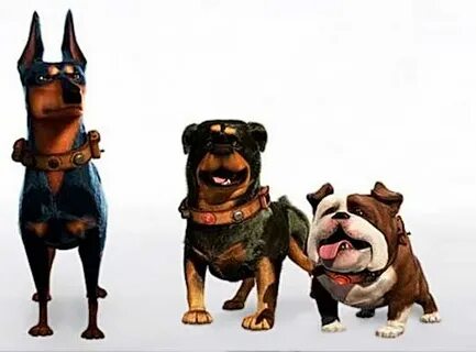 Up dog