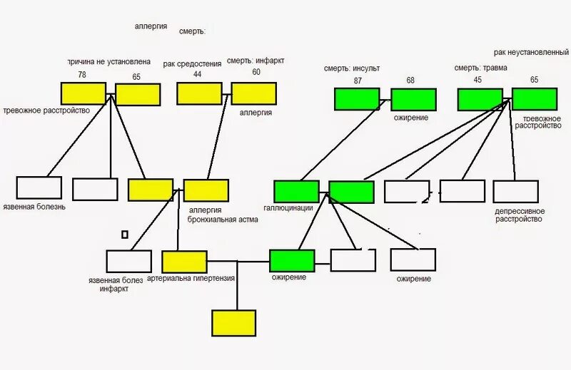 Родственники по материнской линии. Генеалогическое Древо по бронхиальной астме. Наследование бронхиальной астмы генеалогическое Древо. Генеалогическое дерево по отцовской линии. Наследственность бронхиальной астмы родословная.