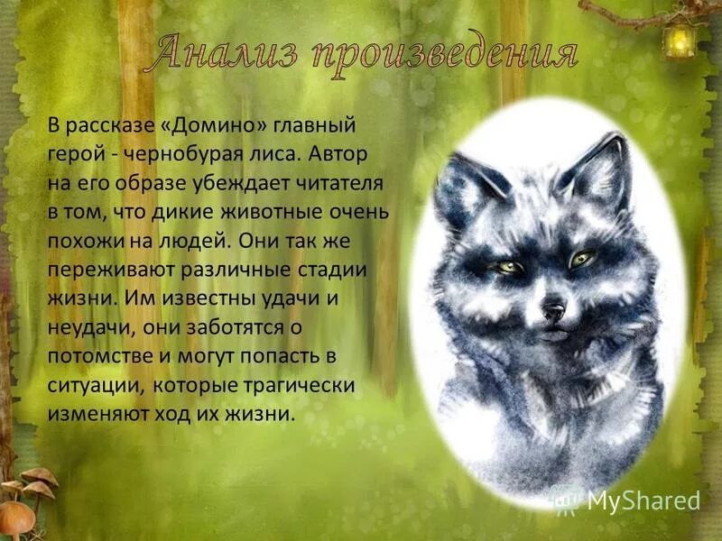 животные герои в рассказах. произведения о животных. детские книги про собак. создание характеров героев животных в рассказах писателей. барбос собака из произведения барбос и жулька.