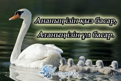 Сексуалды ана сорақы