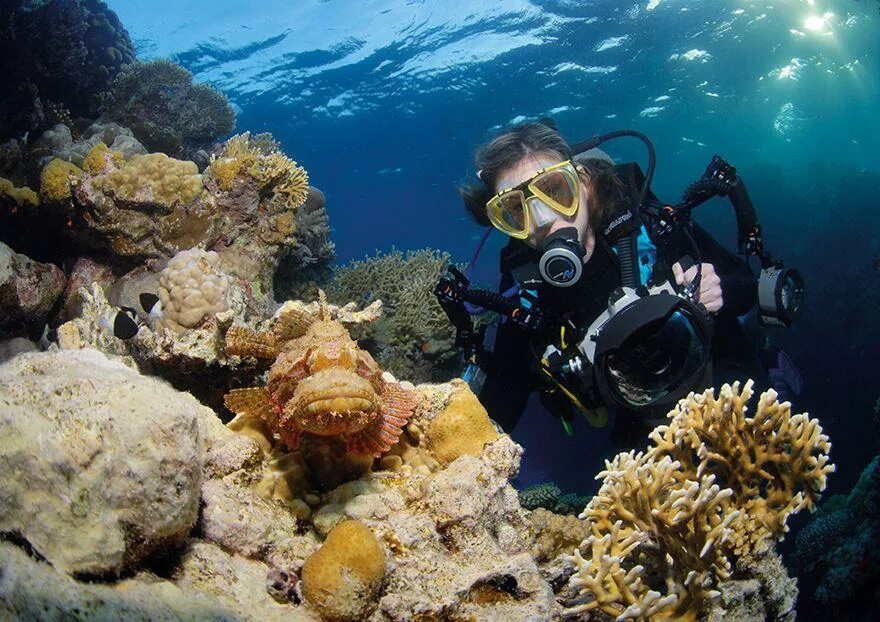 Sea dive. Адриатическое море дайвинг. Каспийское море дайвинг. Дайвинг в Баренцевом море. Эгейское море дайвинг.