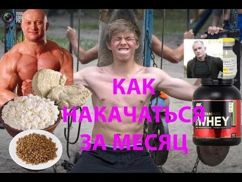 Курсить это